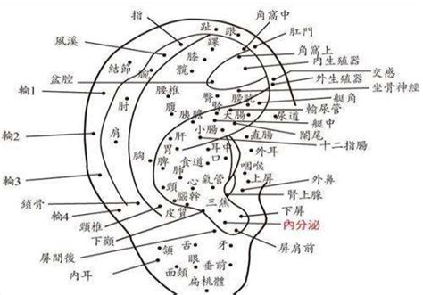 左耳廓有痣女|耳朵有痣的命运好吗？左右耳有痣区别很大！你一定不知道